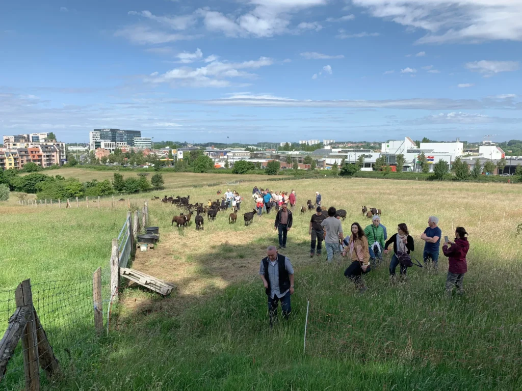 BAZ_BERCHEM ST-AGATHE_Zavelenberg (5)